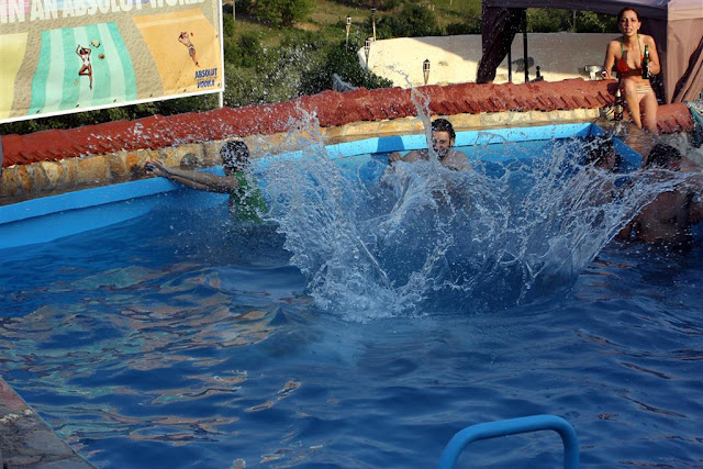 splash