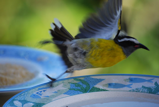 Кто хочет стать миллионером?