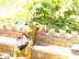 DSC00439.JPG
