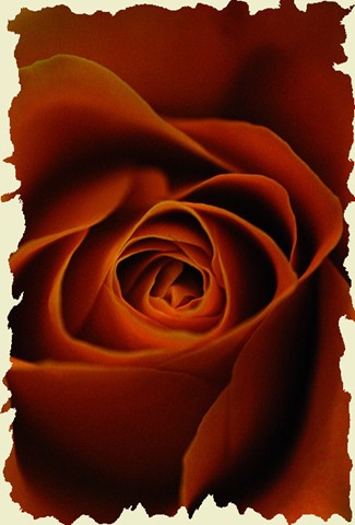 [457217-crimson[3].jpg]