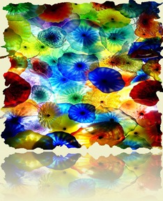 461699-Jellyfish kalidascope