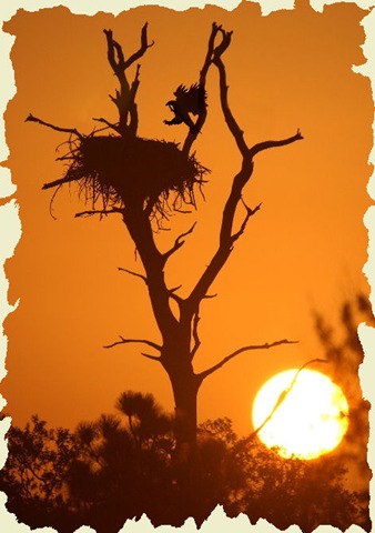 [465883-Eagles Nest Sunset[10].jpg]