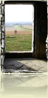 227153-View From The Top