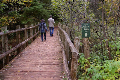 Balsam Hollow Trail