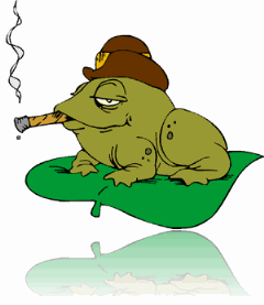 Frog cigar@72