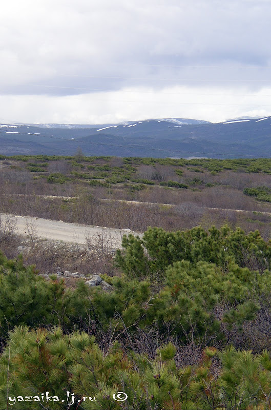 Еду в Магадан... 