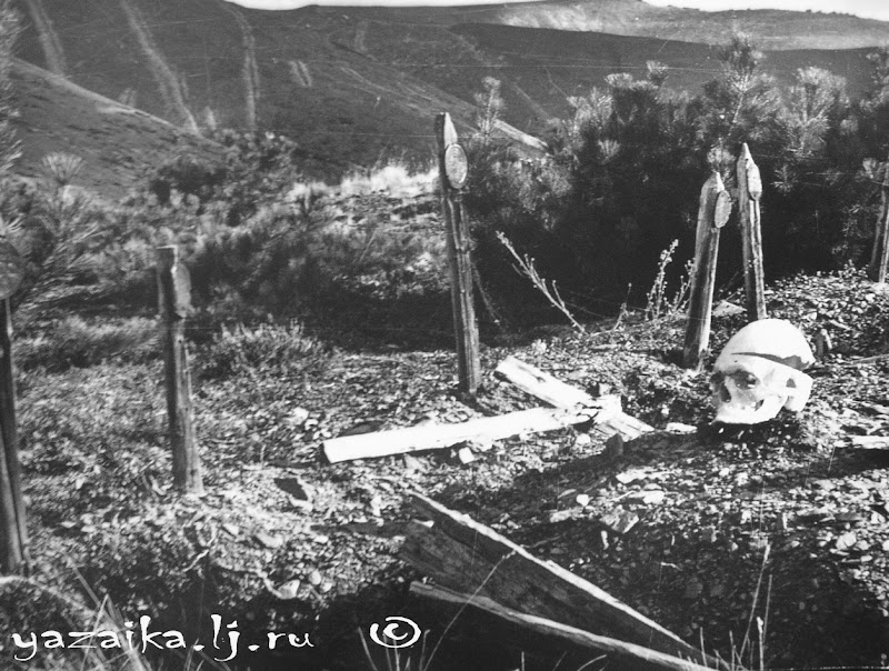 Еду в Магадан... 