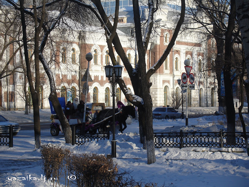 Благовещенск. 