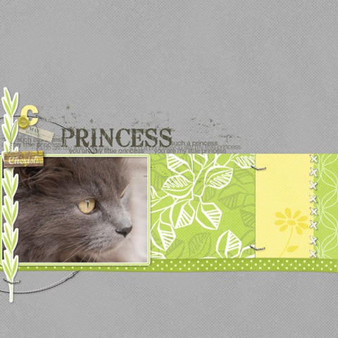 [2009-5-24-DD-Princess[2].jpg]