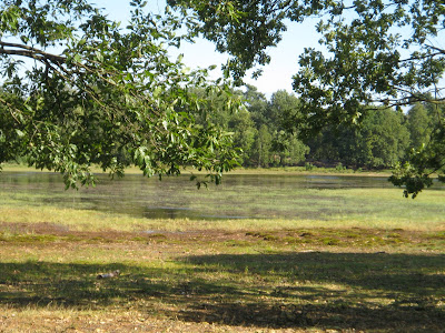 Boswandeling Herperduin