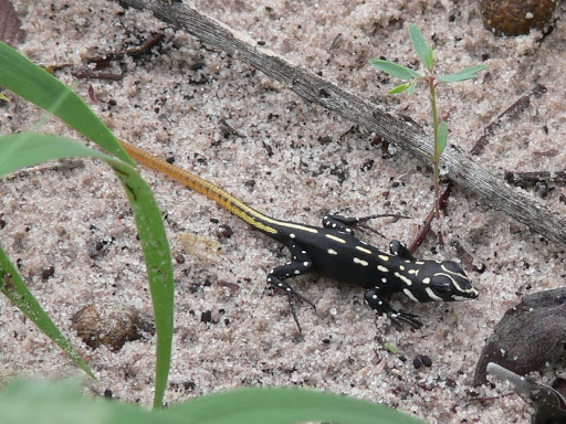 P1110548