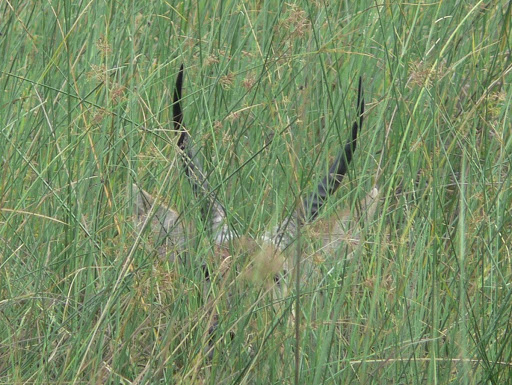 P1110004