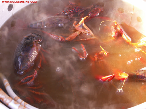 Crawfish+boil+pot