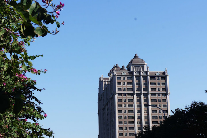 北大特區中悅建設中悅夏宮