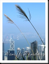 IMG_5088 IMG_5088