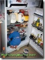 funny-baby in the fridge