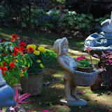 Taking care of their garden