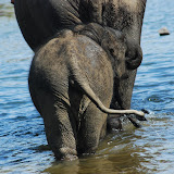 Coorg