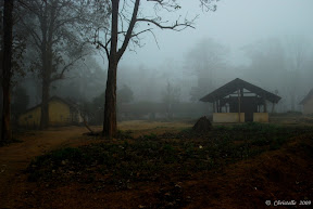 Early morning at Nagarhole National Park