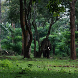 At Muthangi
