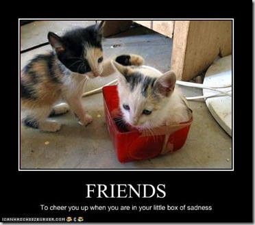 funny-pictures-kitten-has-friends