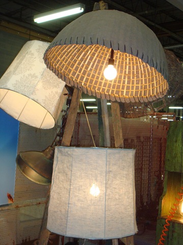 [DSC05825[4].jpg]