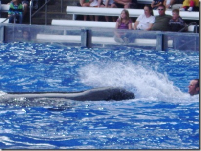 florida vacation 040 florida vacation 040