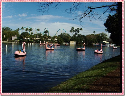 paddle boats