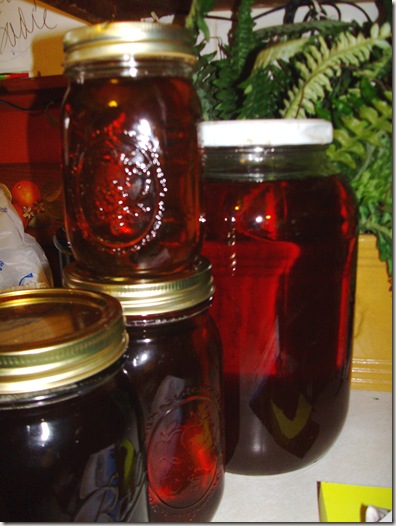 maple syrup 006 maple syrup 006