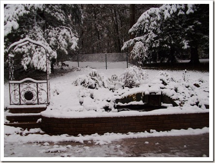 winter october 026 winter october 026