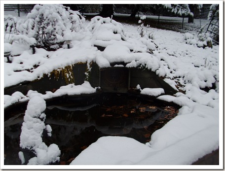winter october 027 winter october 027