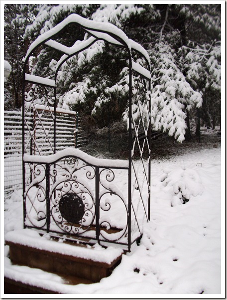 winter october 028 winter october 028