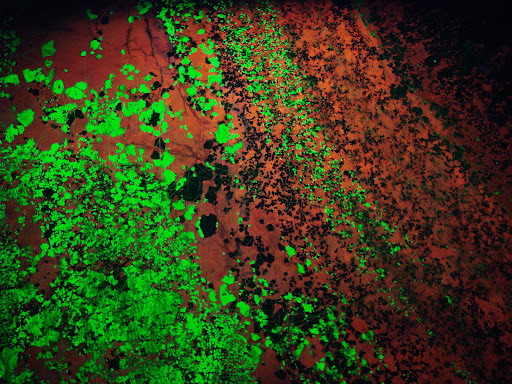 fluorescent zinc ore
