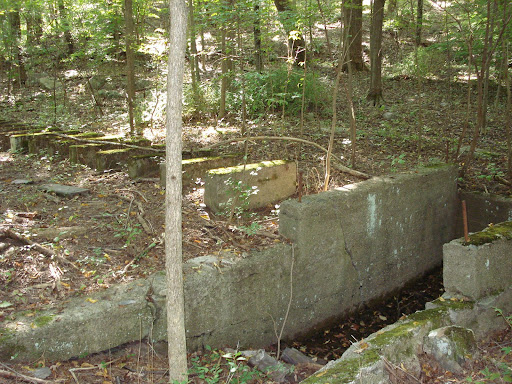 Sawmill foundation