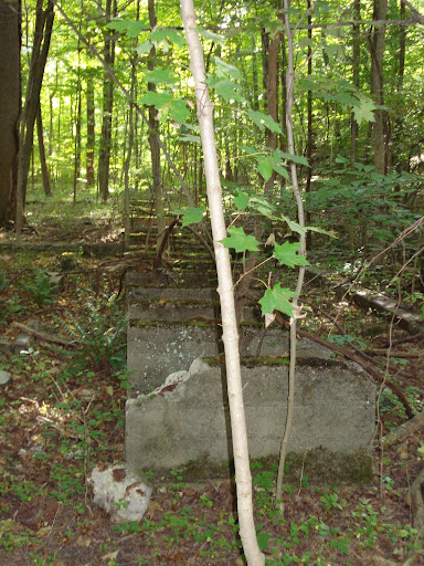 Sawmill foundation