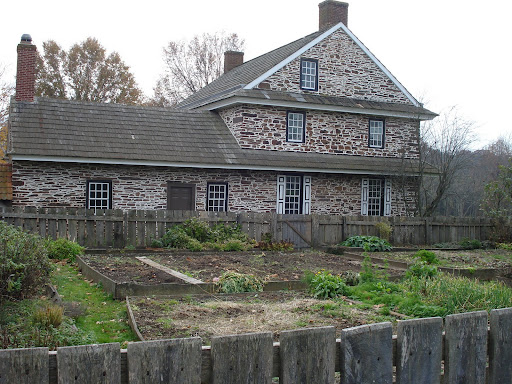 kitchen garden