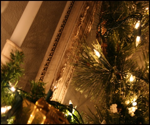 IMG_6346 IMG_6346