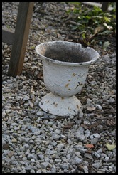 IMG_8013 IMG_8013