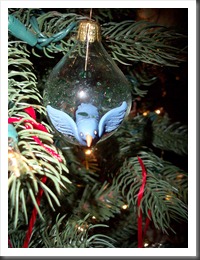 PolymerGlassBulb5