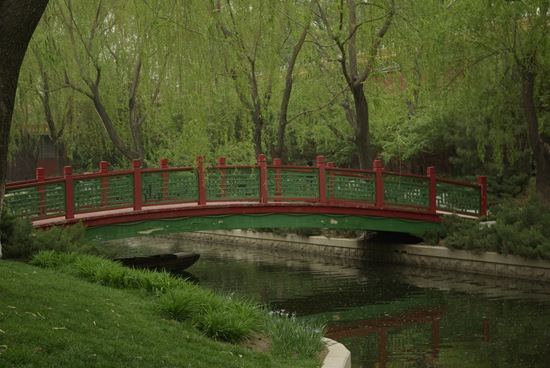 [_IGP7846[2].jpg]