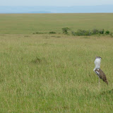 P1000186.JPG