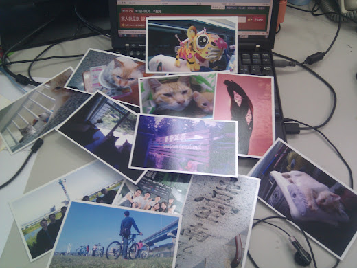 一些照片