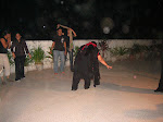 IMG_4881.JPG