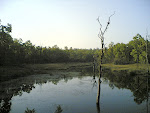Kanha Lake.jpg