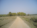 Kanha Road1.jpg