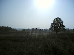 Kanha Sun2.jpg