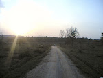 Kanha3 Drive.jpg