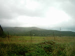 IMG_154.JPG