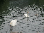 IMG_0448.JPG