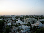 IMG_4042.JPG